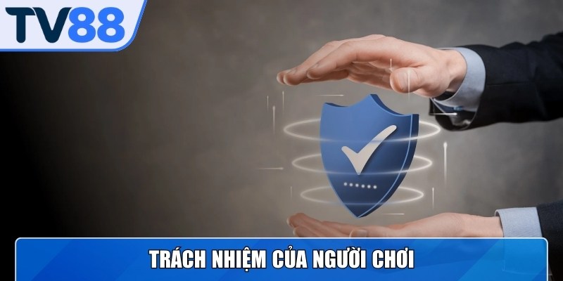 Trách nhiệm, quyền hạn trong điều khoản dịch vụ nhà cái